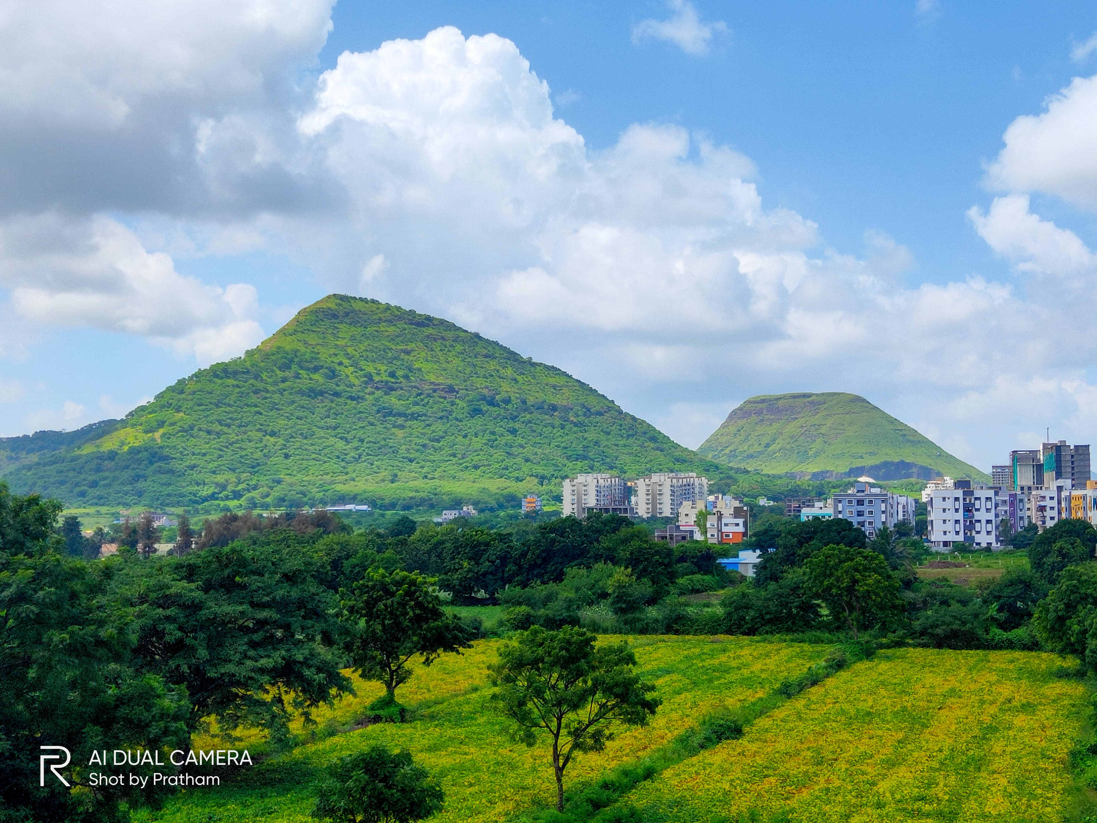 Photograph 1